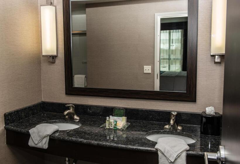 Номер Стандарт Кровать Кинг Адаптированный для Инвалидов, Holiday Inn Paducah Riverfront, An Ihg