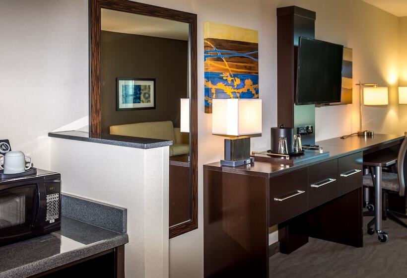 Номер Стандарт, Holiday Inn Paducah Riverfront, An Ihg