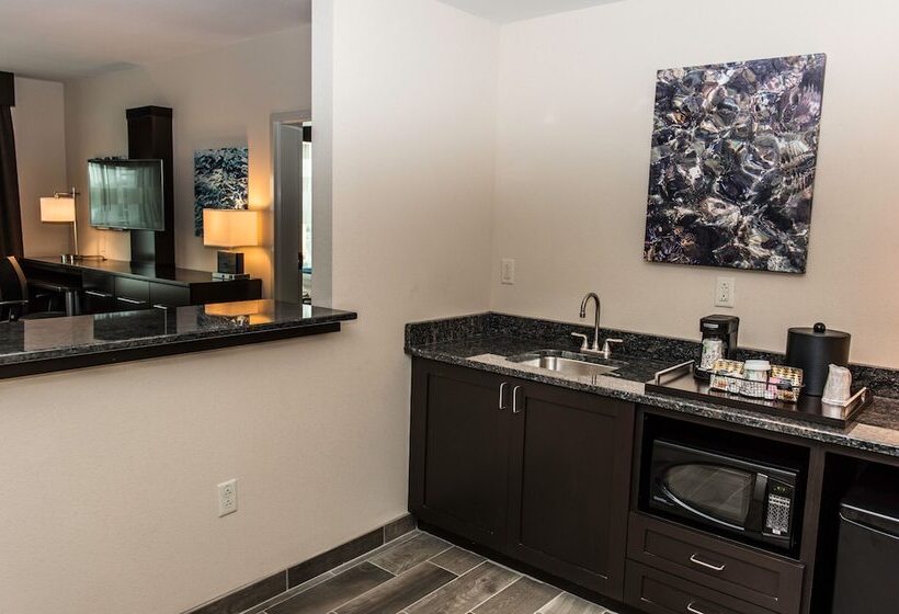 جناح لذوى الاحتياجات الخاصة, Holiday Inn Paducah Riverfront, An Ihg