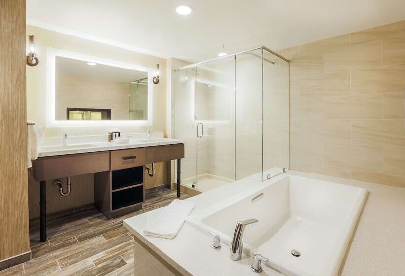 Suite, Homewood Suites By Hilton Charleston Historic District