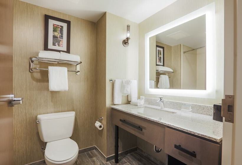 Suite, Homewood Suites By Hilton Charleston Historic District