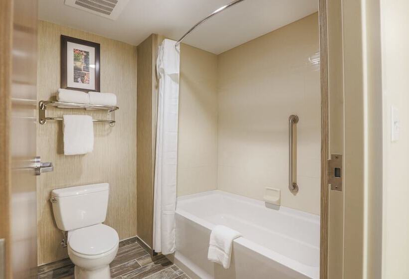 Suite Accessibile ai persone con mobilità ridotta, Homewood Suites By Hilton Charleston Historic District