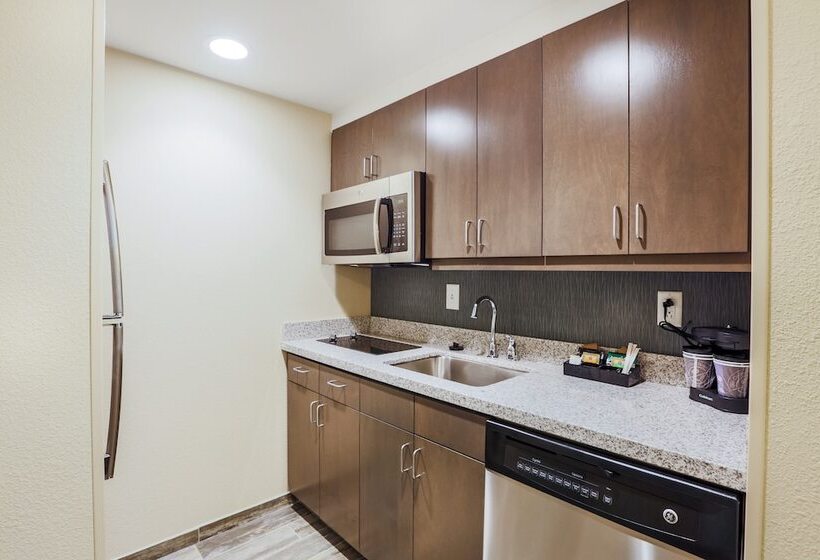 高级工作室, Homewood Suites By Hilton Charleston Historic District
