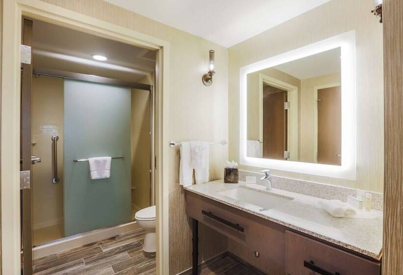适合残疾人士使用的套间, Homewood Suites By Hilton Charleston Historic District