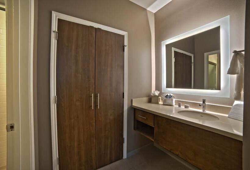 带2个卧室的套房, Staybridge Suites Houston Humble Beltway 8 E, An Ihg