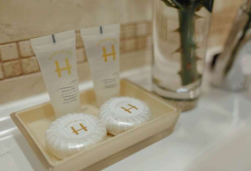 شقة غرفتين, Apart Hotel Horowitz