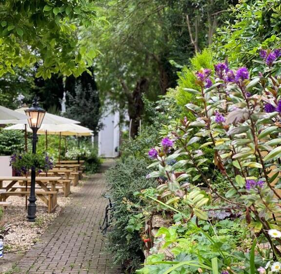 Номер Стандарт, Castle View