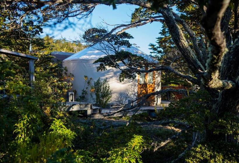 اتاق لوکس, Patagonia Camp