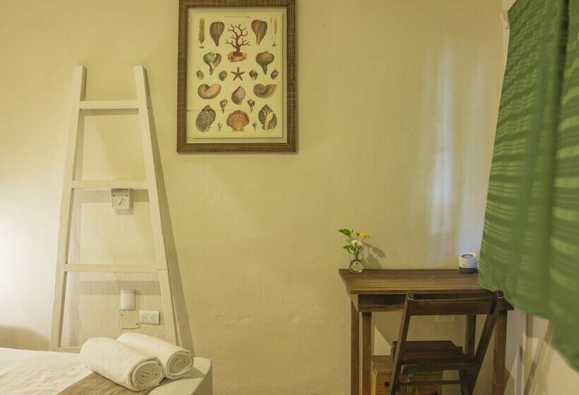 이코노미 룸, Secret Garden Tulum