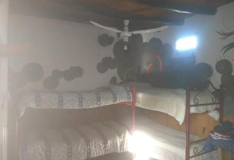 ルームシェアのワンベッド, Eco Hostel Valle Fertil