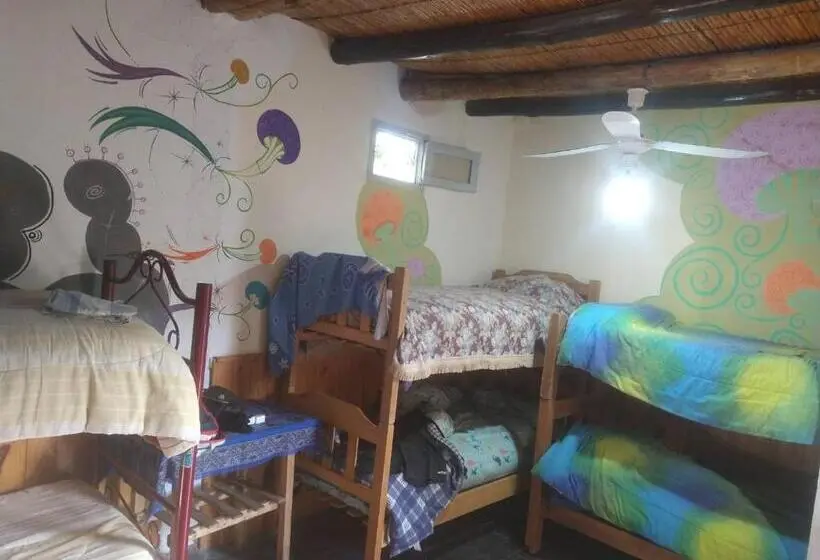 ルームシェアのワンベッド, Eco Hostel Valle Fertil