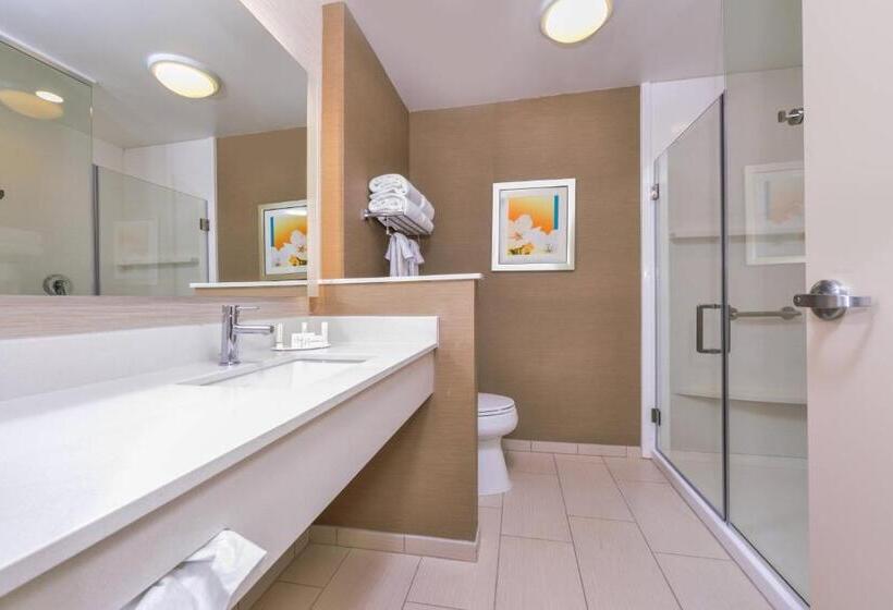 Номер Стандарт, Fairfield Inn & Suites By Marriott Coralville