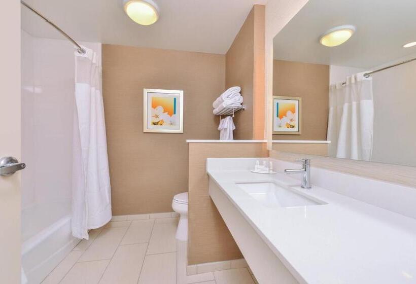 Номер Стандарт, Fairfield Inn & Suites By Marriott Coralville