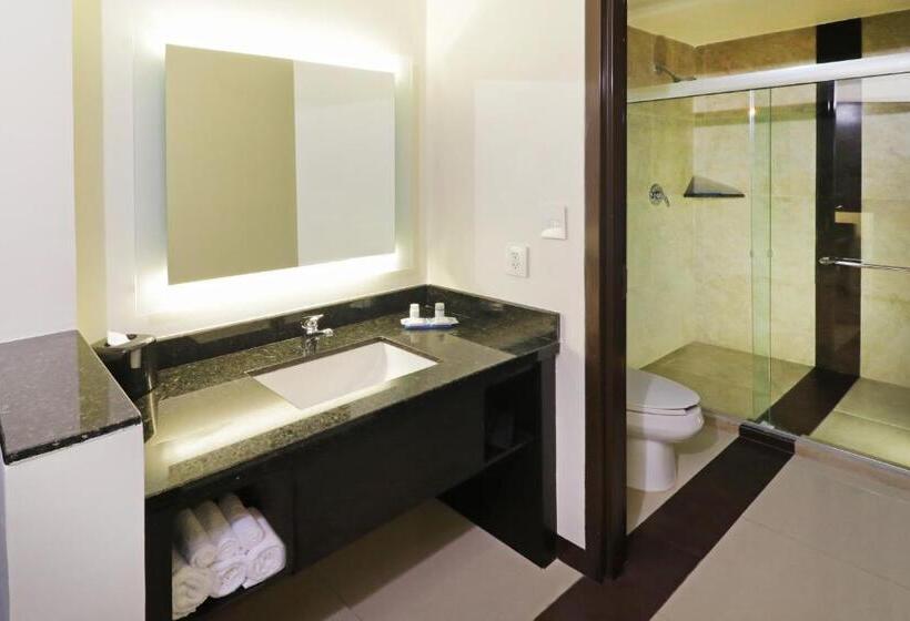 חדר סטנדרט עם מיטת קינג, Holiday Inn Express   Tuxpan, An Ihg