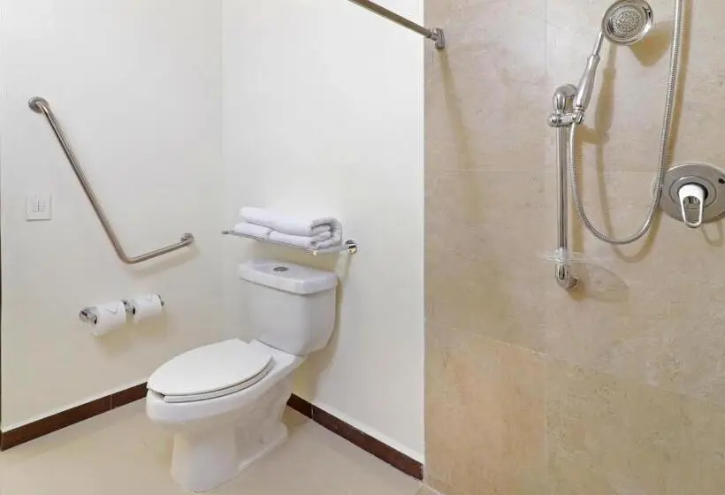 身障者適用キングサイズベッドルーム, Holiday Inn Express   Tuxpan, An Ihg