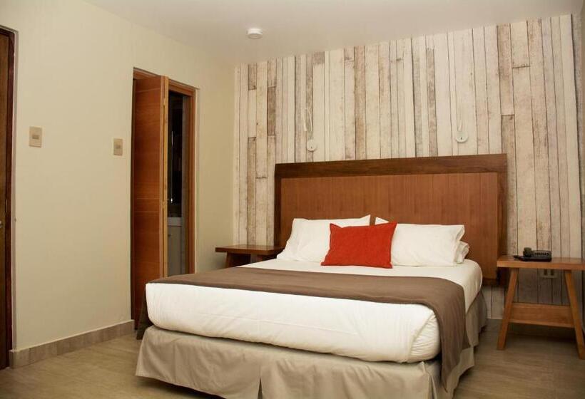 高级单人间, La Casa De Don Tomás