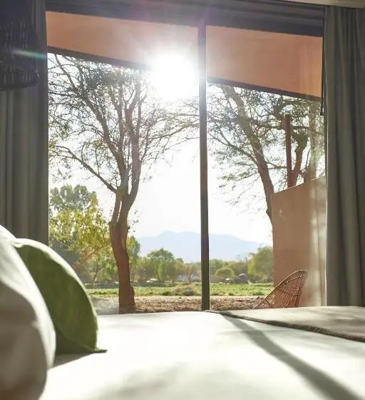 Superior Room with Terrace, La Casa De Don Tomás