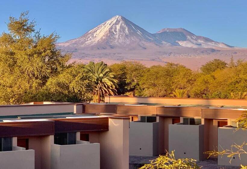 带露台的高档房间, La Casa De Don Tomás