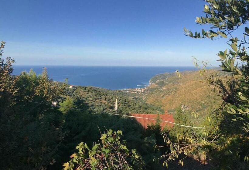 スタンダードルーム, Cilento