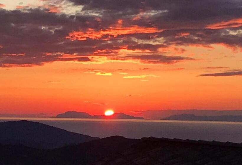 スタンダードルーム, Cilento