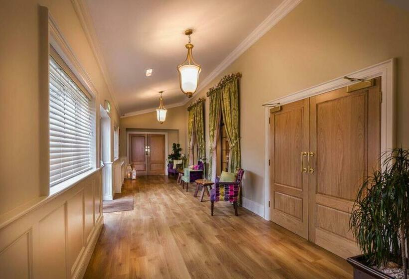 豪华房间, Breffni Arms