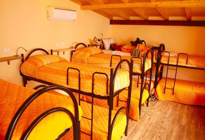 تختخواب در اتاق مشترک, City In Hostel B&b