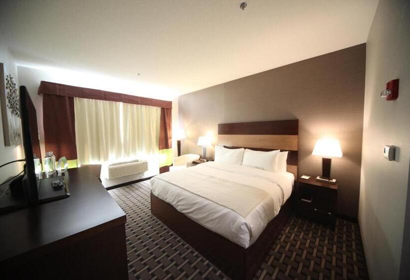 디럭스 룸 킹사이즈 침대, Wyndham Garden Edmonton Airport