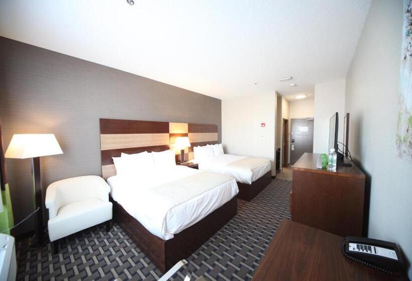 수피리어 룸, Wyndham Garden Edmonton Airport