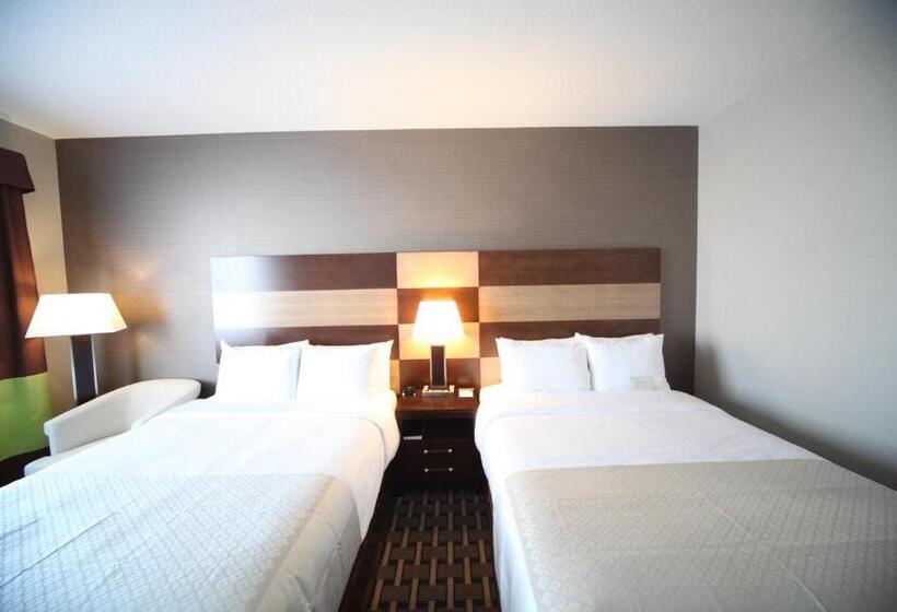 수피리어 룸, Wyndham Garden Edmonton Airport