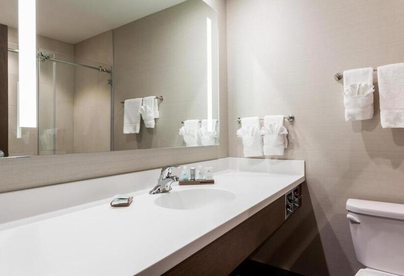 이그제큐티브 스위트 킹침대, Wyndham Garden Edmonton Airport