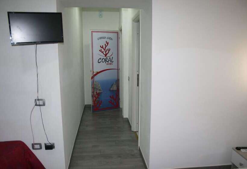 标准三人间, Coral Rooms