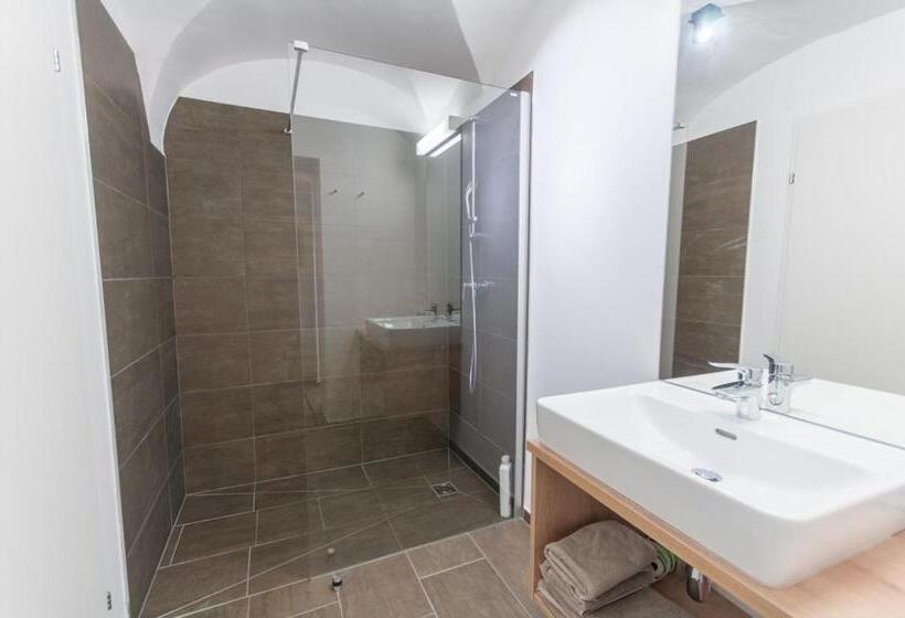 エコノミールーム, Pension Max