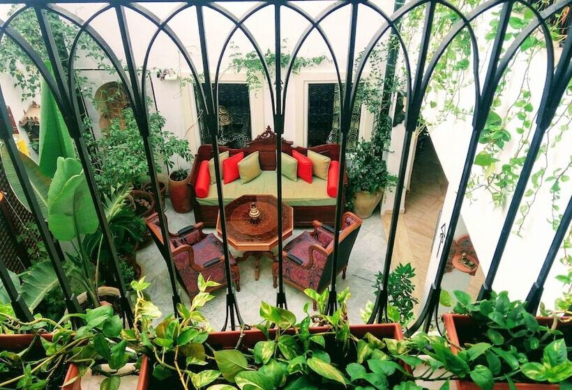 اتاق سوپریور, El Patio Courtyard House