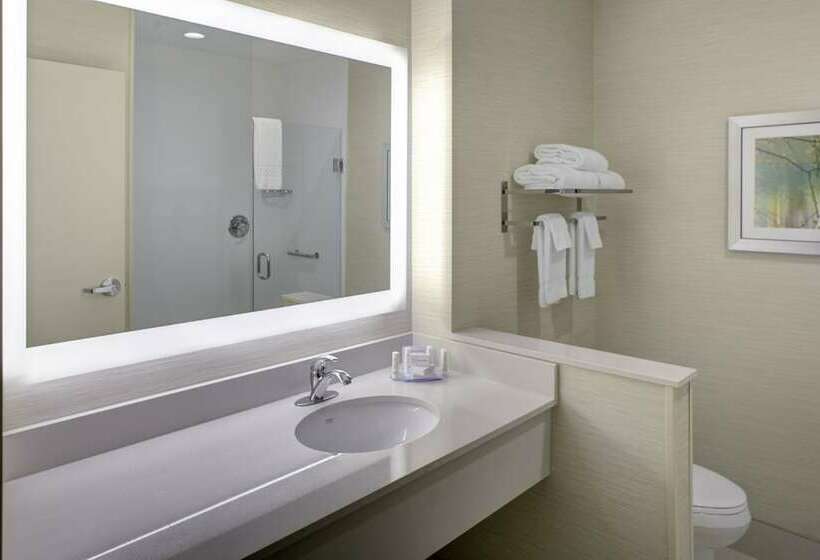 Президентский Люкс, Fairfield Inn And Suites By Marriott Detroit Canton