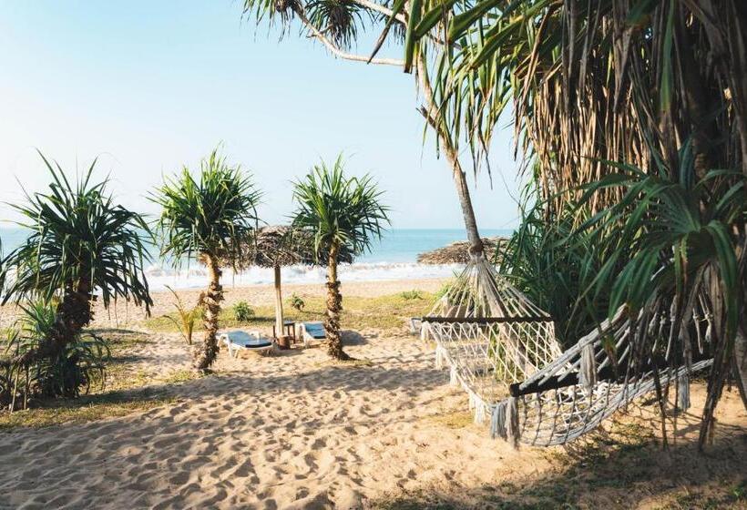 Номер Deluxe Вид на Море с Балконом, Ananya Beach Resort