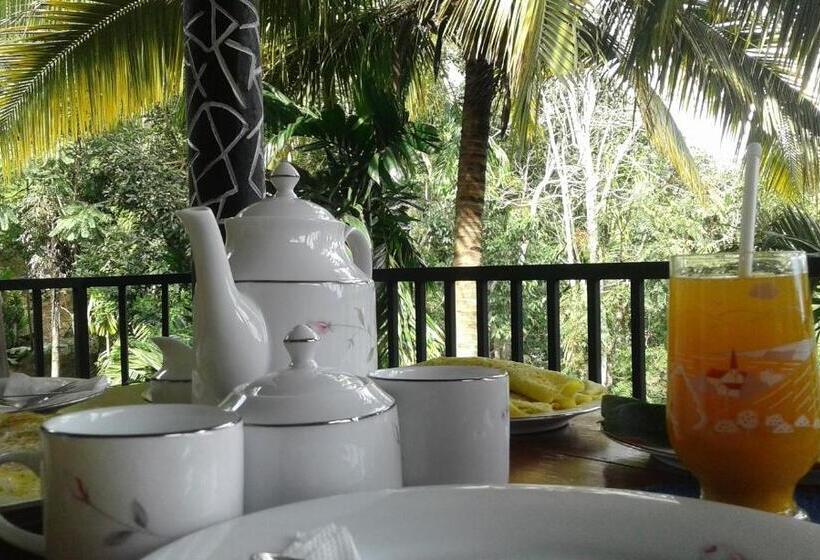 带阳台的豪华间, Different View