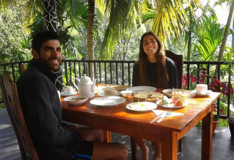 标准间带山景, Different View