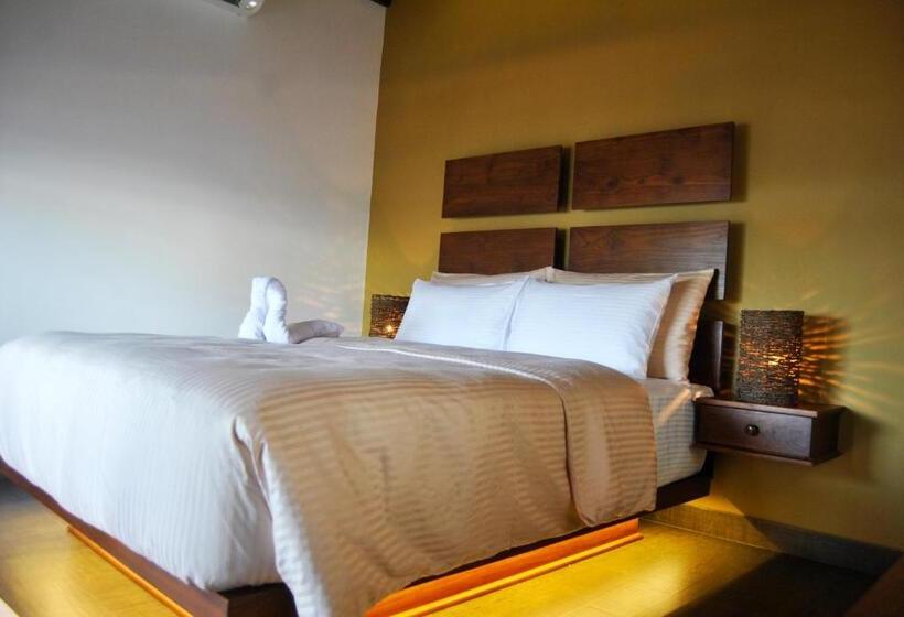 Economy Zimmer, The Canoe