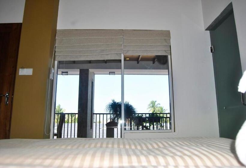 Economy Zimmer, The Canoe