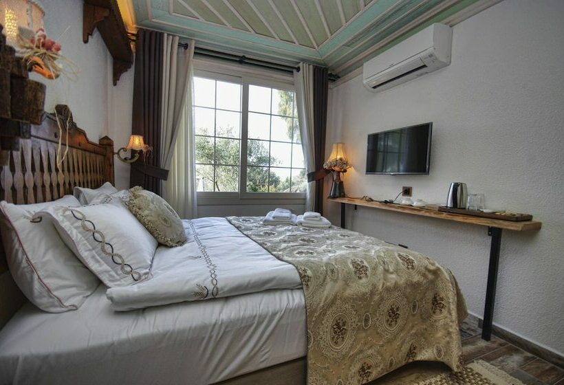 اتاق استاندارد, Ayşe Hanım Konağı