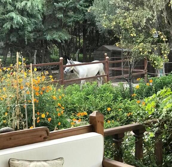 اتاق استاندارد با تخت بزرگ, Ayşe Hanım Konağı