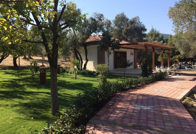 اتاق استاندارد با تخت بزرگ, Ayşe Hanım Konağı