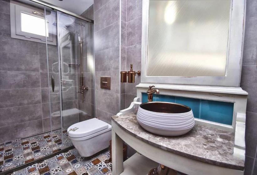 اتاق استاندارد, Ayşe Hanım Konağı