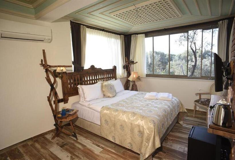 اتاق لوکس, Ayşe Hanım Konağı