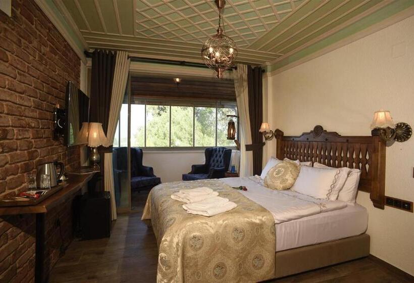 اتاق لوکس با تخت بزرگ, Ayşe Hanım Konağı