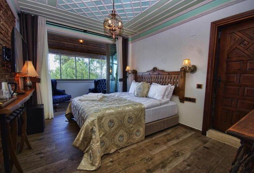 اتاق لوکس با چشمانداز دریا, Ayşe Hanım Konağı