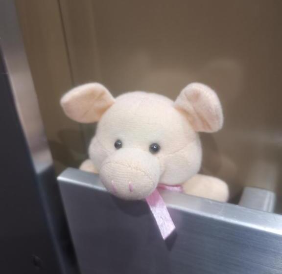 패밀리 룸, Hof Und Post