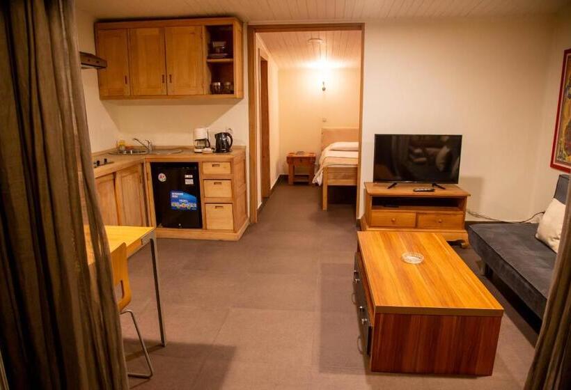 استودیو استاندارد با تراس, La Villette