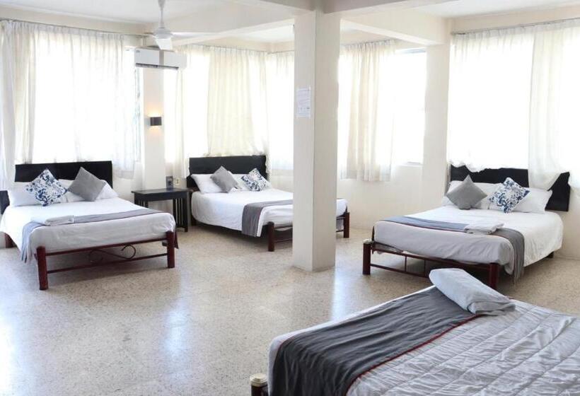 패밀리 룸, Las Brisas