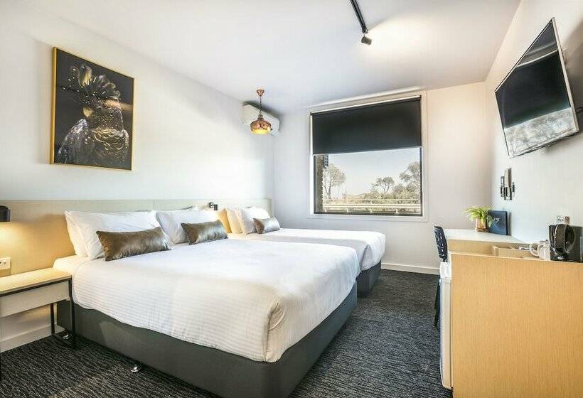 חדר סטודיו סטנדרד, Nightcap At The Cheeky Squire